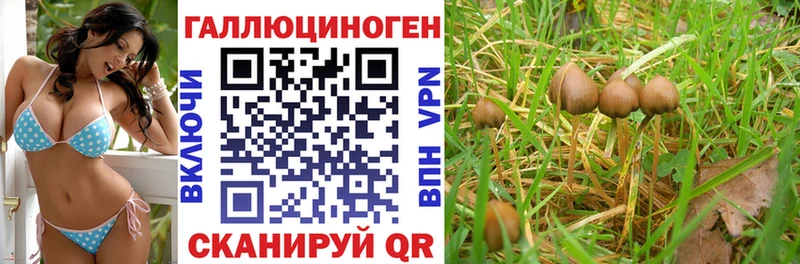 Галлюциногенные грибы прущие грибы Новый Оскол