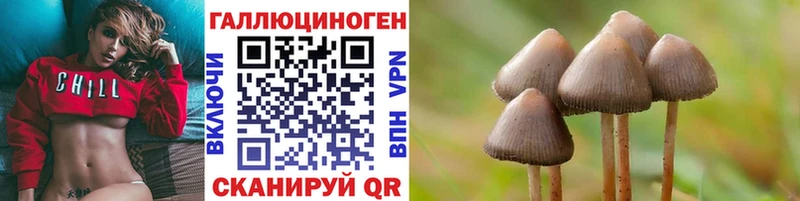 Купить закладки  Новый Оскол  Галлюциногенные грибы мицелий 