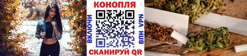 Купить закладки  Новый Оскол  Каннабис OG Kush 